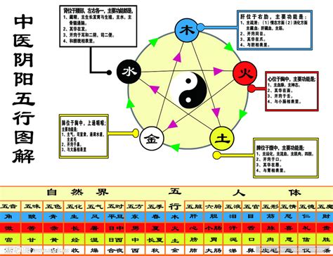 按摩五行|中医五行学